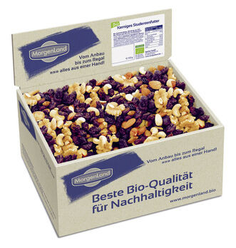 MorgenLand Kerniges Studentenfutter 3,5kg