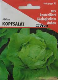 Aries Saatgut Kopfsalat