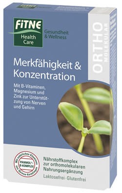 FITNE Nährstoffkomplex Merkfähigkeit und Konzentration Kapseln 60 Stück