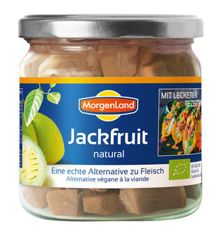 MorgenLand Jackfruit natural 180g