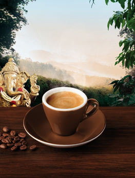 Lebensbaum Espresso Kaapi Kerala Bohne demeter 250g